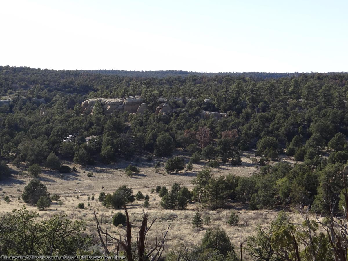 2.8 acres in Candy Kitchen New Mexico with a Rough Little Off Grid Cabin.
